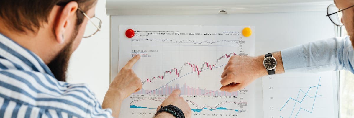 IT Strategy and Cost Optimization